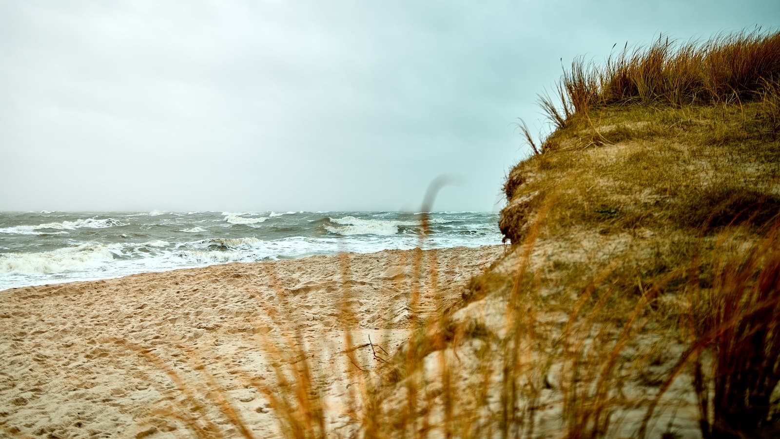 Sylt